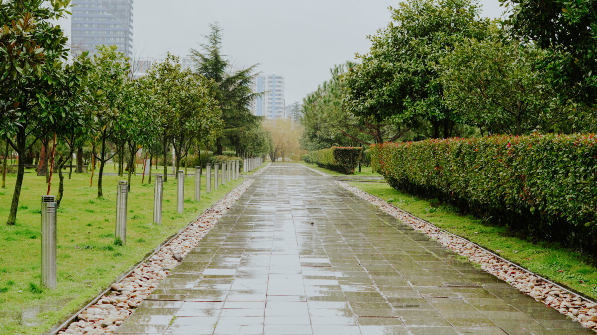 Rainy pathway in urban park with trees and greenery on both sides