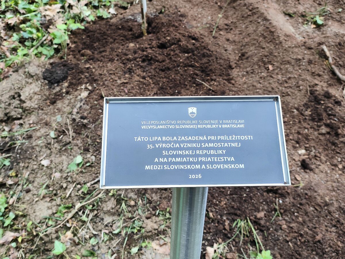 Vysadenie stromu, alej, košice