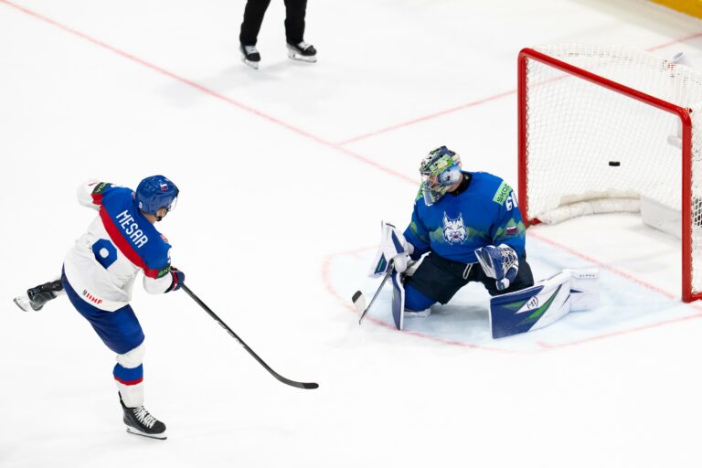 MS v hokeji: Slovensko - Slovinsko