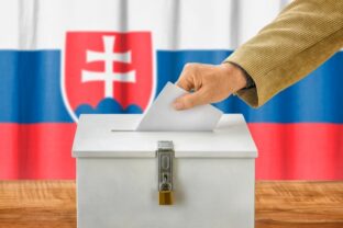 Voľby, Slovensko, urna, referendum