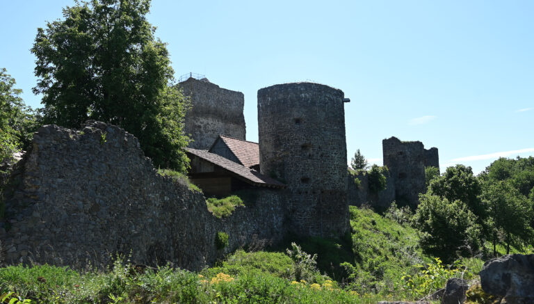 Šarišský hrad