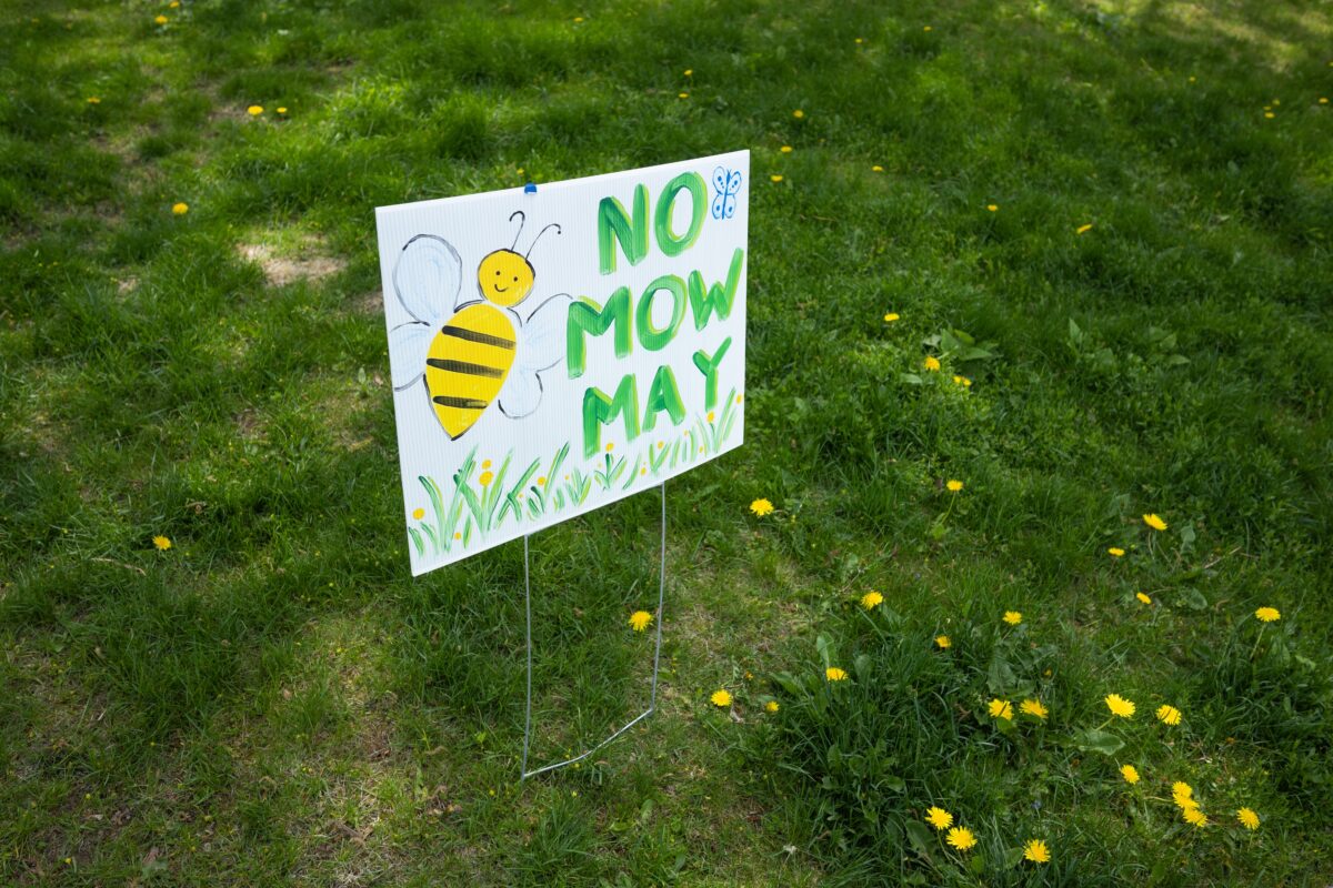 No Mow May