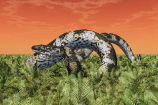 Titanoboa