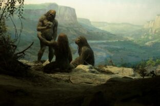 Neandertálci