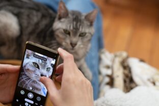 PetPhone