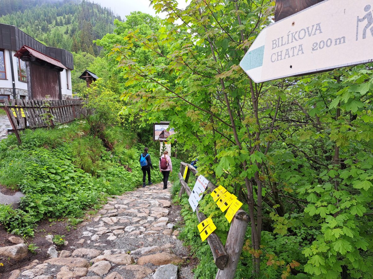 Odstrel skalných vežičiek, Vysoké Tatry