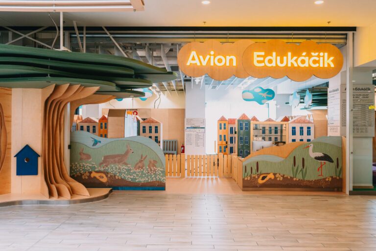 Avion edukacik 1.jpg
