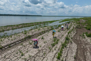 Climate El Nino What to Know