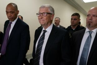 Congress Epstein Gates