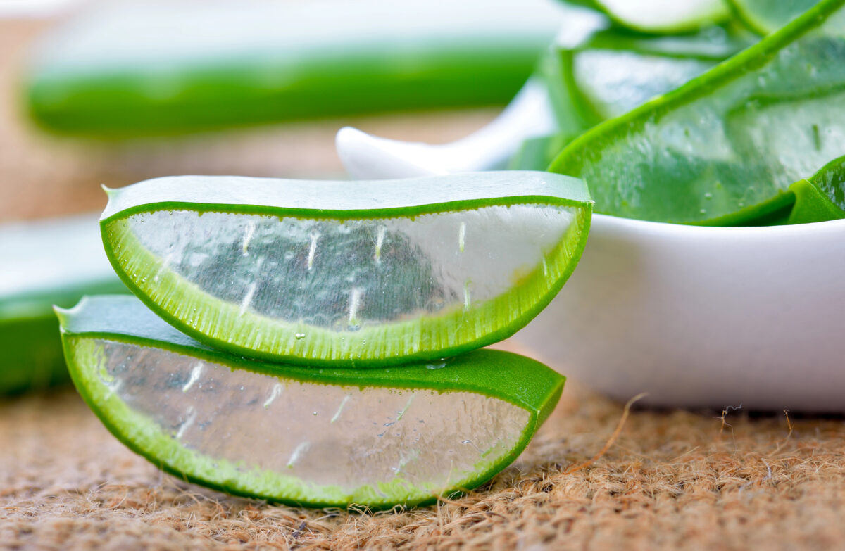 aloe vera