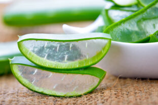 aloe vera
