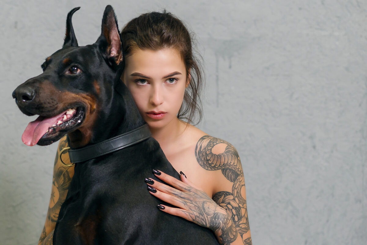 Doberman