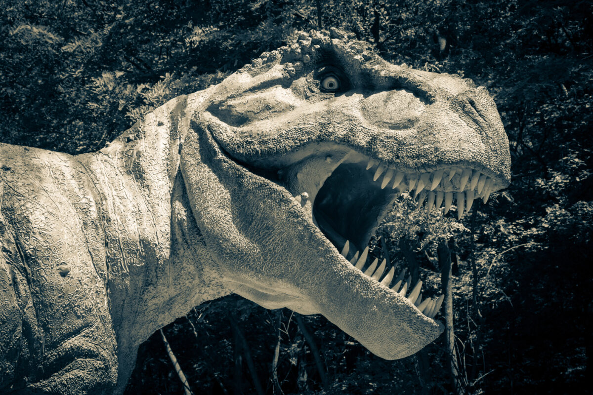 Tyranosaurus rex