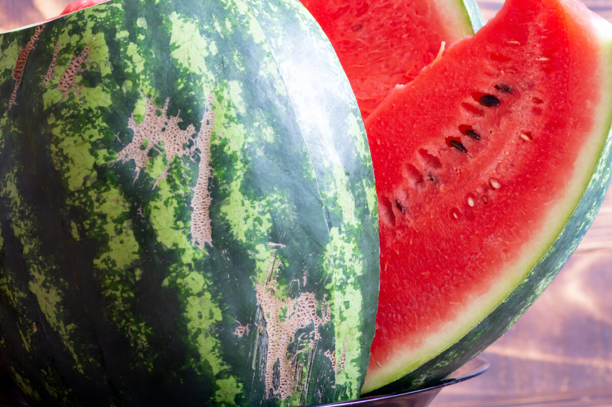 melón