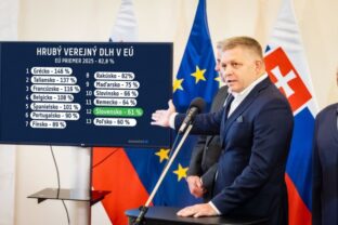 Robert Fico, verejné financie