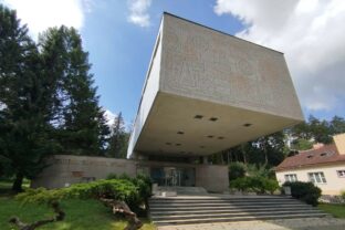 Galeria ludovita fullu.jpg