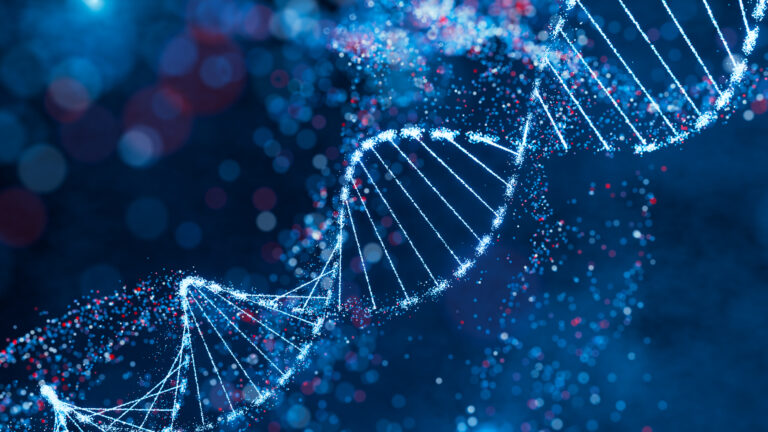 DNA test