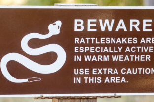 Rattlesnakes Awareness Sign at Windy Hill Open Space Preserve, San Mateo County, California.