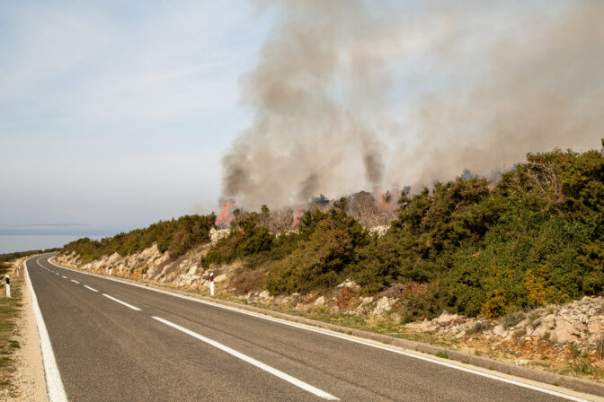 Forest fire on the island of Pag