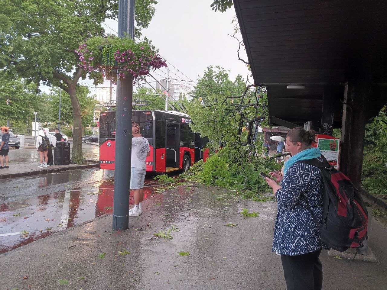 B&uacute;rka v Bratislave nap&aacute;chala rozsiahle &scaron;kody, na Hlavnej stanici spadol strom na pr&iacute;stre&scaron;ok autobusovej zast&aacute;vky - FOTO - SITA.sk