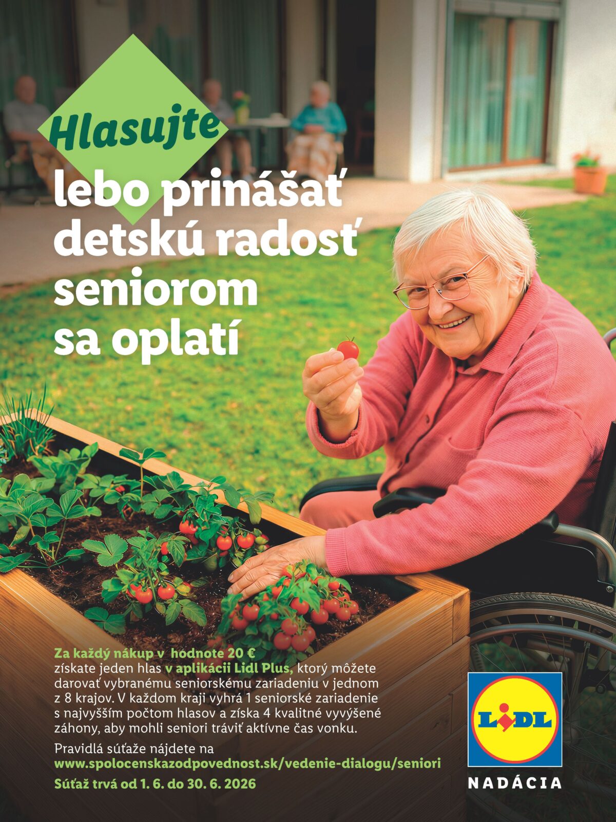 Lidl_zahony3_v4.jpg