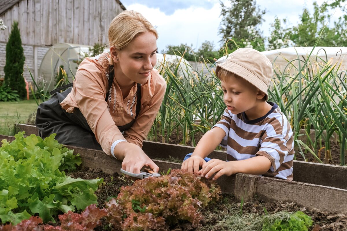 Agroturistika
