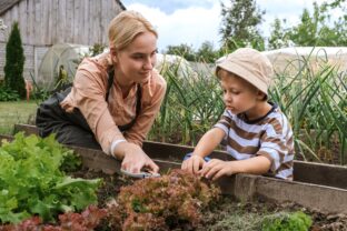 Agroturistika