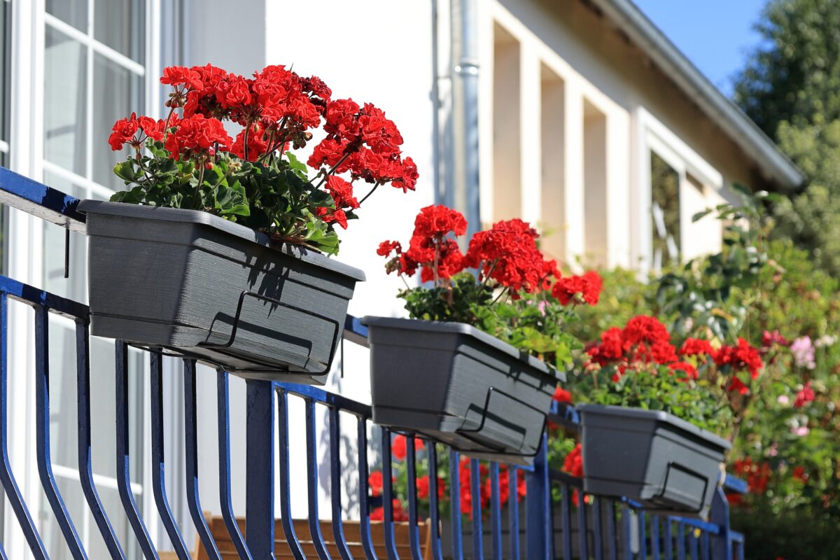 kvetináče na balkóne