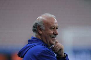 Vicente del Bosque