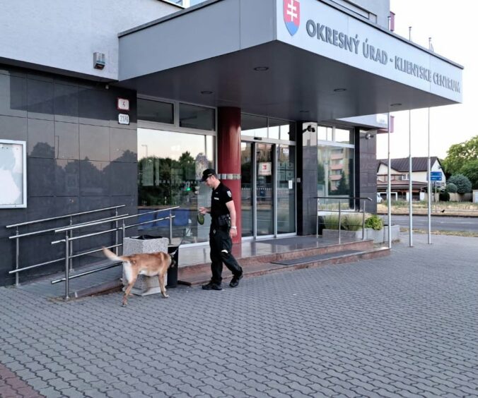 Referendum 2026 na Slovensku