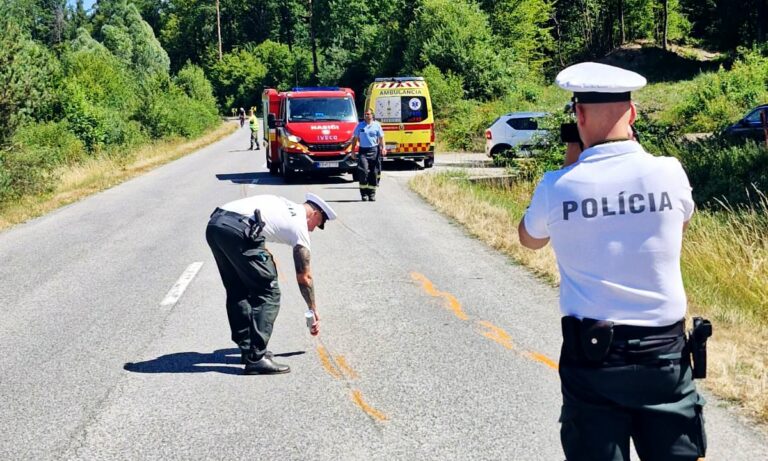 Policia, nehoda