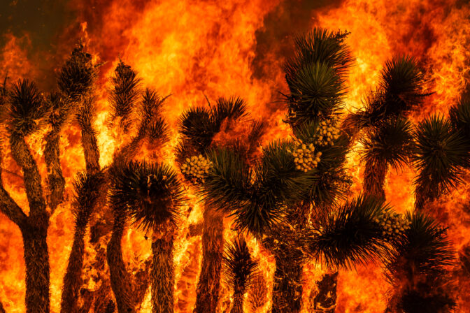APTOPIX California Wildfire