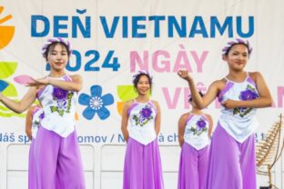 Den vietnamu.jpg