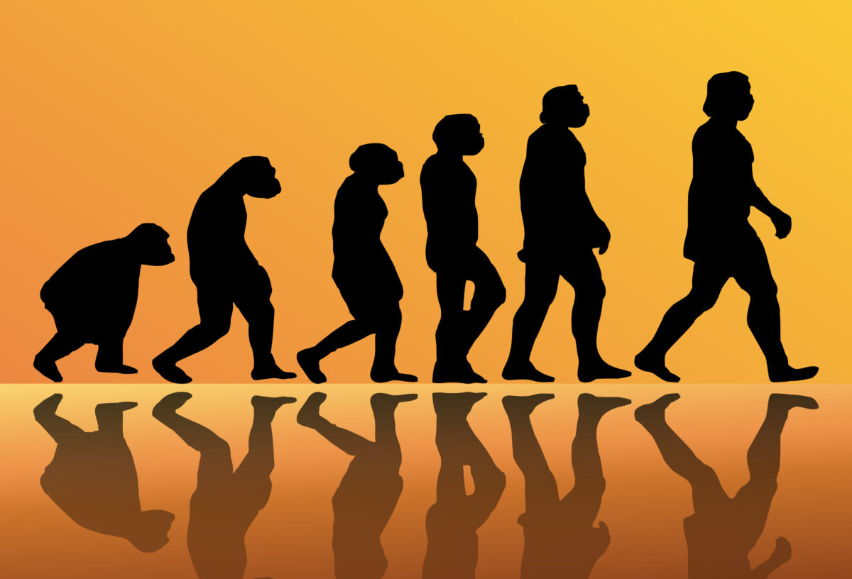 Evolúcia človeka