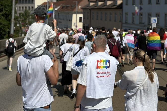 Du hovy pride 2.jpeg