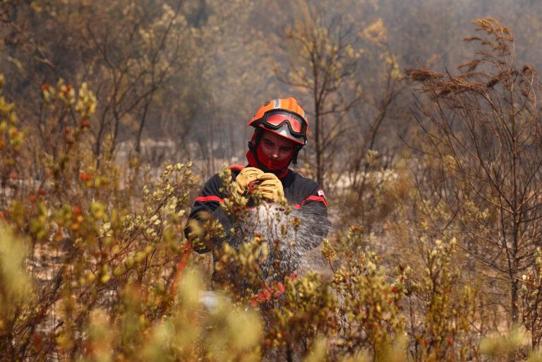 Europe Wildfires