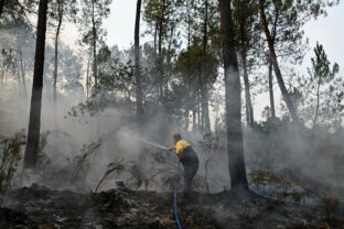France Wildfires