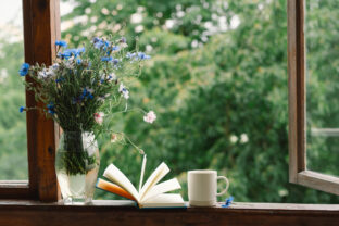 A bouquet of cornflowers and a book on the windowsill
