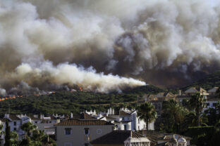 Wildfire