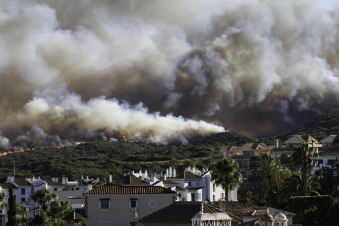 Wildfire