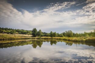 Krušné hory čaká veľký turistický sviatok. Aké trasy ponúka Hrebeňovka a kam sa vydať na túry?