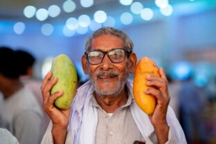 India Mango Festival