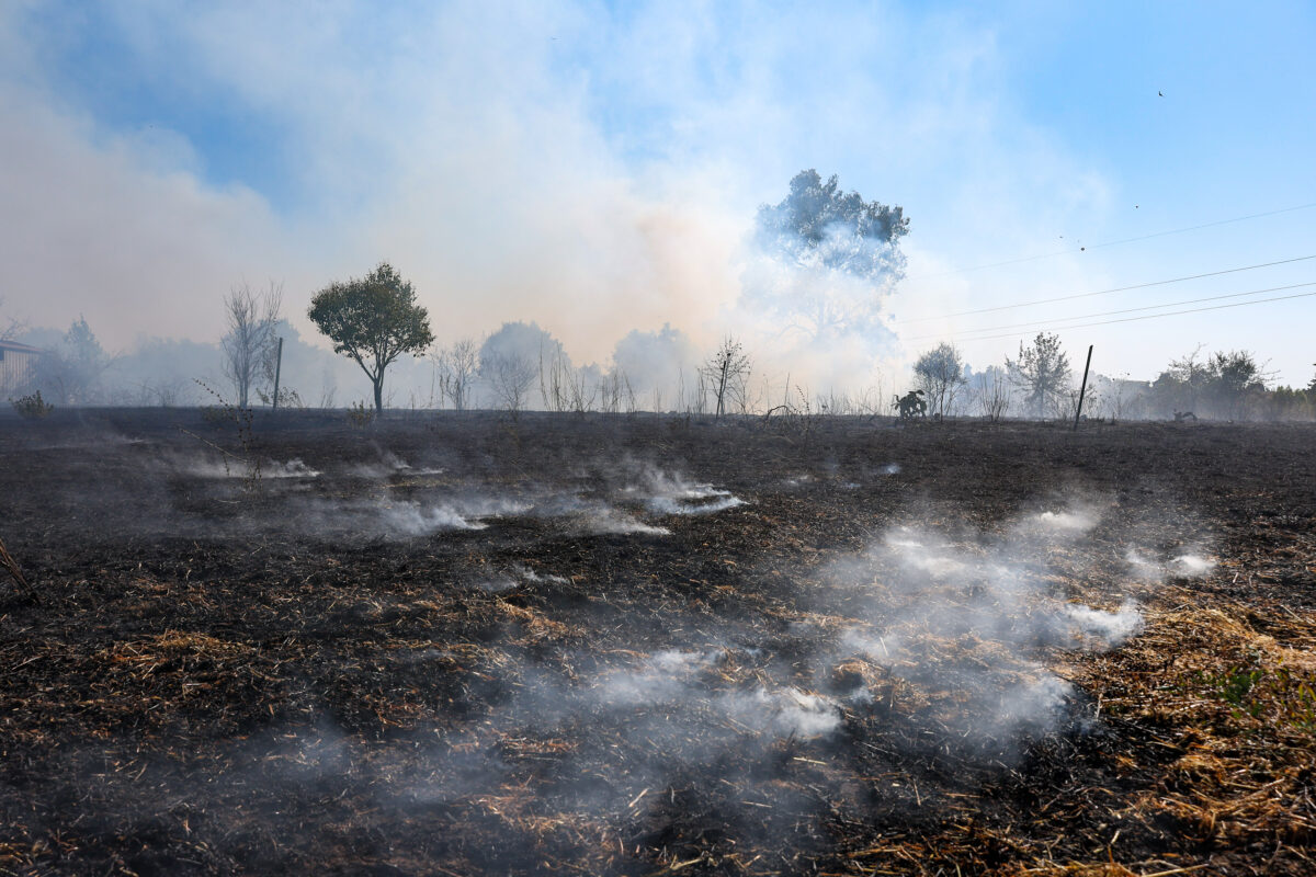 Italy Extreme Weather Wildfires