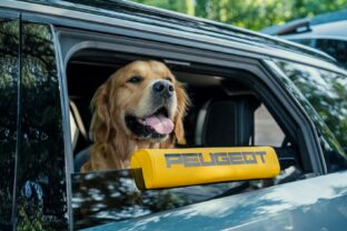 Peugeot e 5008 dog edition concept__01.jpg