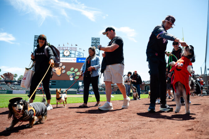 Rockies Giants Baseball