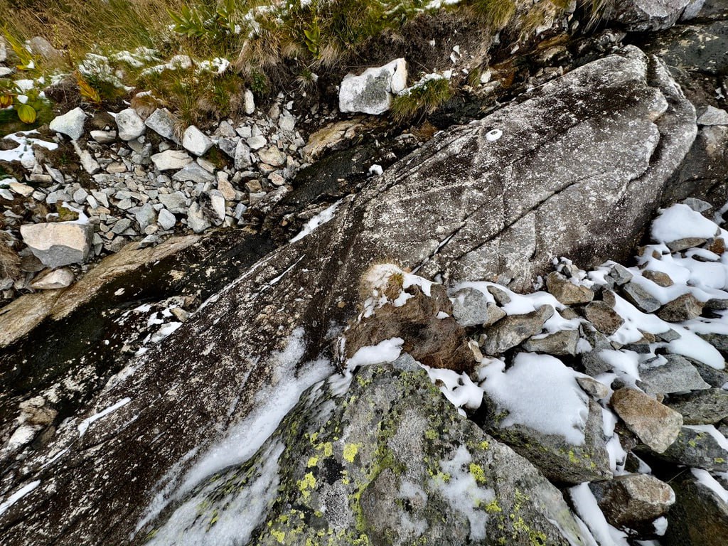 Tatry, veľryba