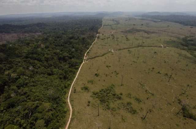 Brazília uznala zhruba dvetisíc kilometrov štvorcových za domorodé územia, chce tak ochrániť Amazonský prales