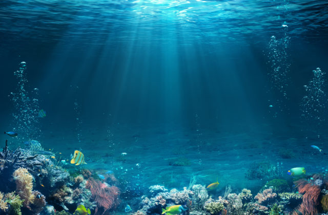 Oceány produkujú veľkú časť kyslíka na Zemi. Ako môže Slovensko prispieť k ich ochrane?