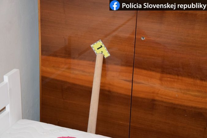 Policia akcia gastan naka 2.jpg