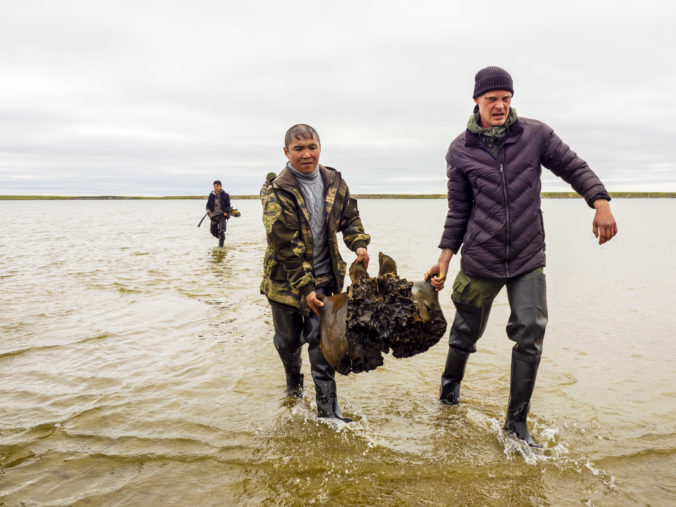Nájdené telo takmer celého mamuta v ruskej Sibíri